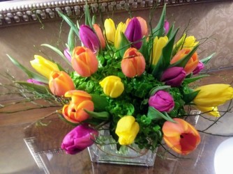 Mixed Arrangement of Colorful Tulips